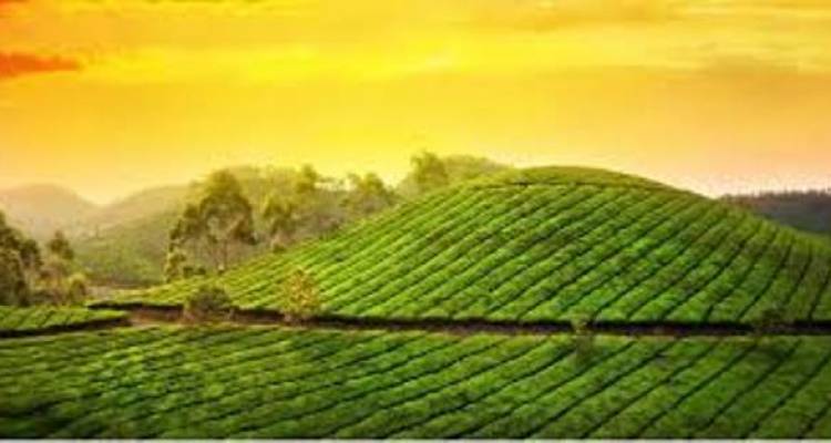 Exotic Kerala Tour - World Travel Experiences