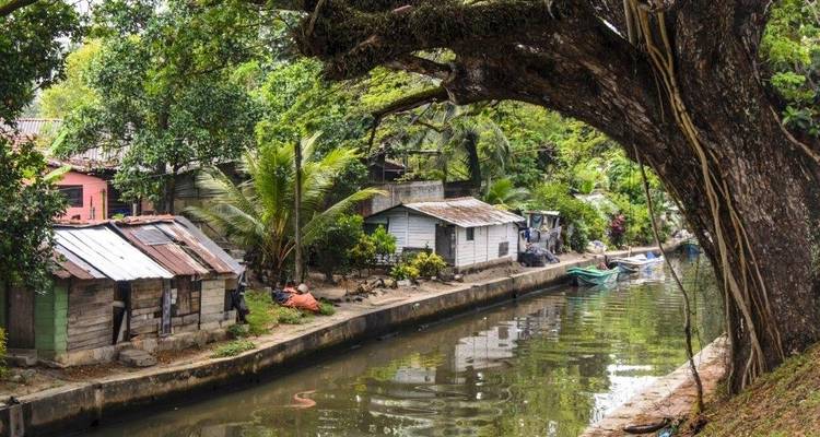 Rustic wooden houses by a tree-lined canal with wooden boats.