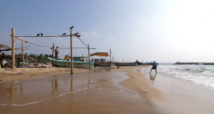 People interacting near the shore with traditional boats and birds.