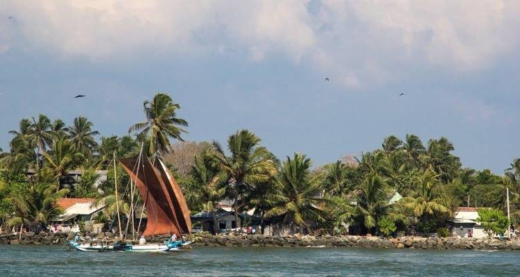 A traditional boat with sails on a calm sea near a tropical coastline with palm trees.