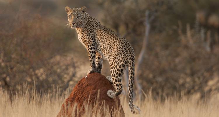 African Adventure Namibia (Accommodation/Transport & Activities Included) - Junita's Extreme Adventures Namibia cc