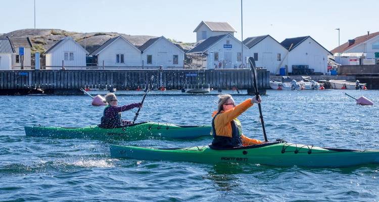 Two people kayaking on calm waters near a harbor.