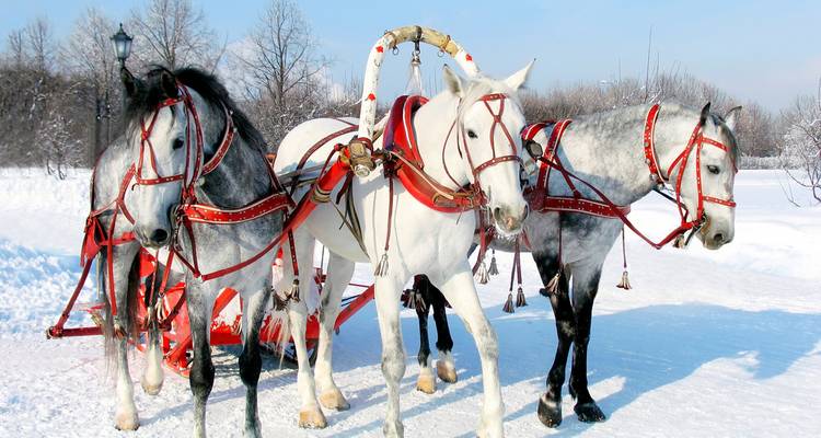 Siberian Snowscapes - Sundowners Overland