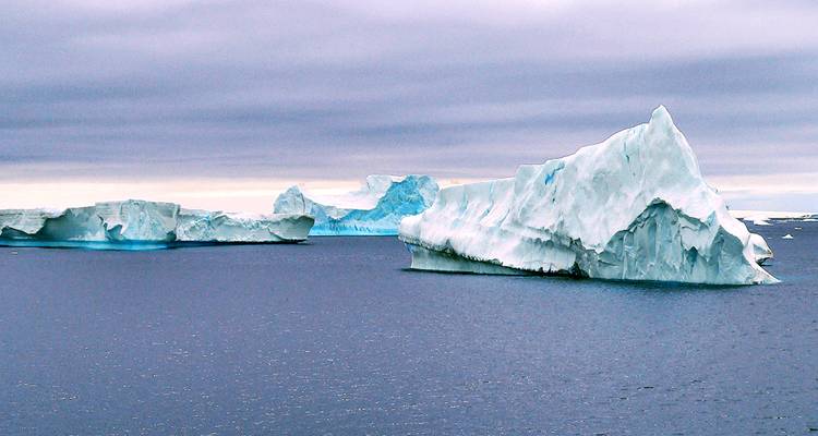 Journey to Antarctica: The White Continent aboard the National Geographic Explorer (6 destinations) - Collette