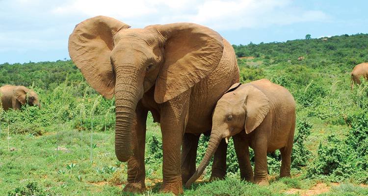 Southern Africa Experience - Peregrine Adventures
