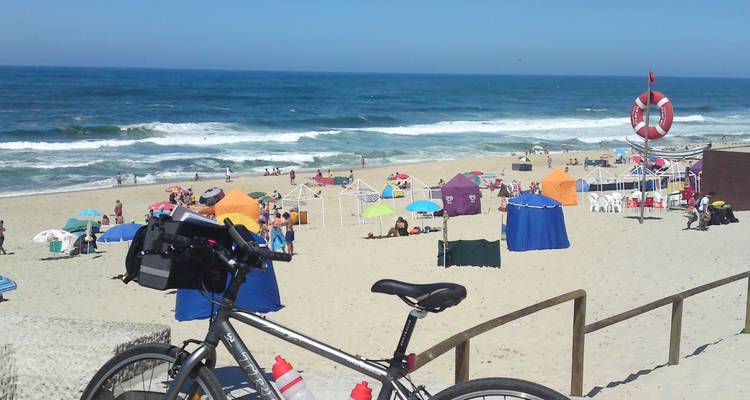 A bicycle parked at a beach with colorful umbrellas and people.