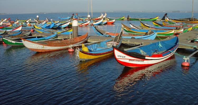 Colorful boats docked on the water.