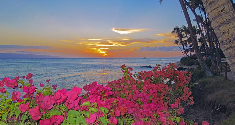 Hawaiian Adventure Three Islands featuring Oahu, Kauai and Maui (Honolulu, HI to Maui, HI) - Collette