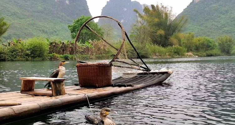 Traditioneel bamboevedten met aalscholvers drijven op een pittoresk rivier tussen weelderige karsttopppen.