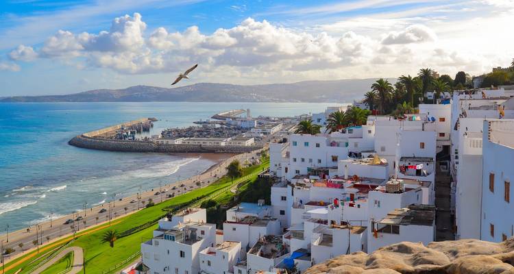 White hillside houses of Tangier overlook the turquoise sea, marina and sweeping coastline with a gull soaring overhead.