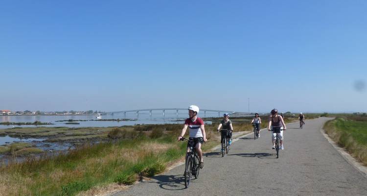 Ciclistas pedaleando por un sendero costero cerca de marismas y un puente distante en un día despejado.