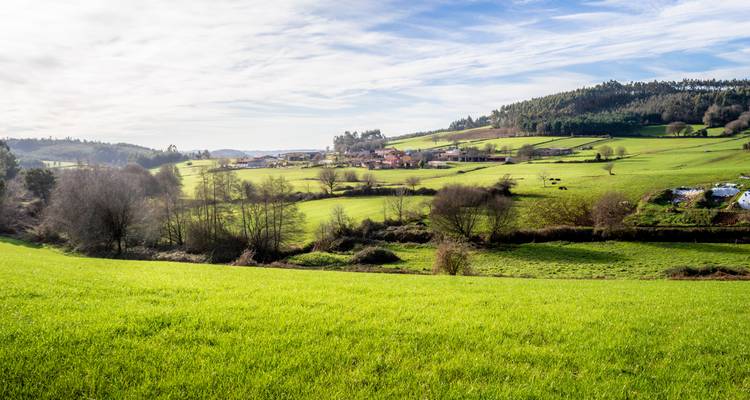 Les verts pâturages ondulants et les arbres dispersés s'étendent sous un ciel partiellement nuageux en Galice rurale.