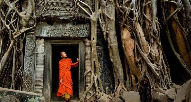Un monje en túnicas naranjas parado en la entrada de un templo antiguo envuelto por raíces de árboles.
