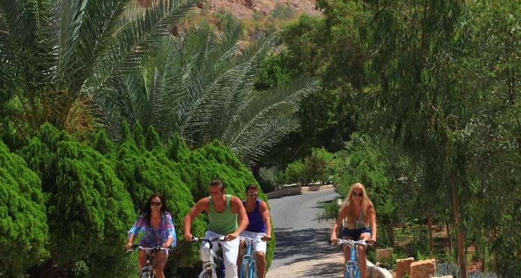 Quatre personnes faisant du vélo sur un sentier bordé de végétation luxuriante et de palmiers.