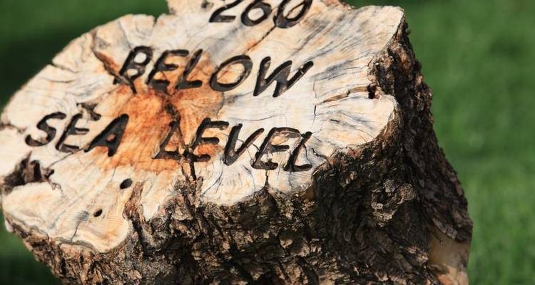 Une souche d'arbre gravée avec le texte '260 sous le niveau de la mer'.