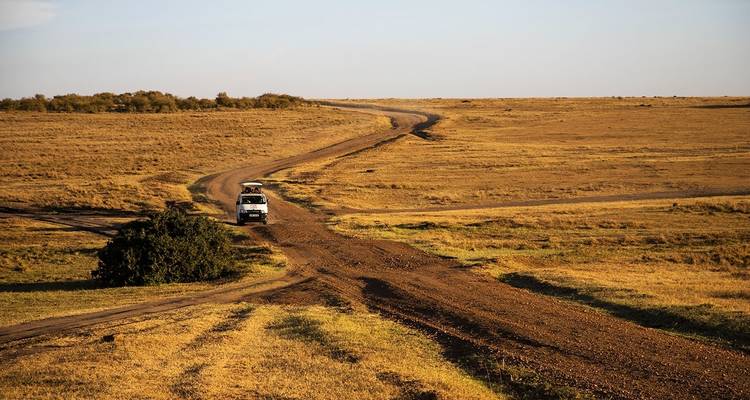Jeep de safari sur un chemin de terre dans un paysage de savane.