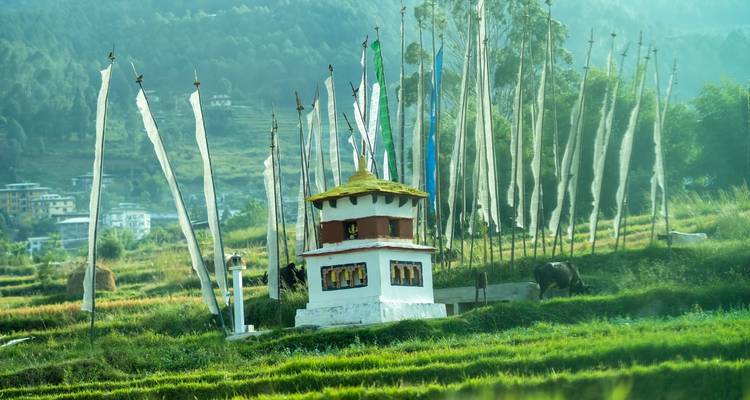 Colorful prayer flags and a small stupa in a lush valley.