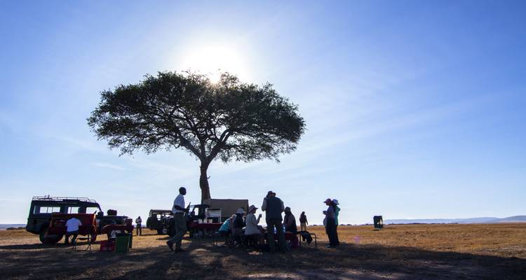 Group of people having a picnic under a tree with safari jeeps nearby.