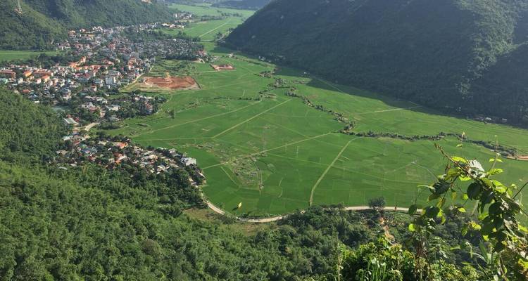Luftaufnahme eines Tals mit Reisfeldern und einer kleinen Stadt.