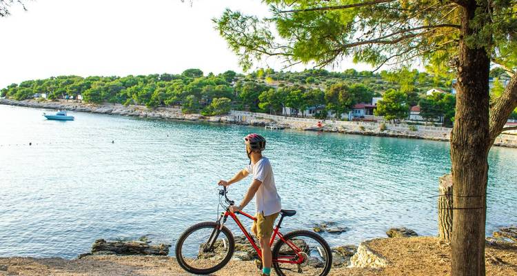 Personne avec un vélo admirant un bord de mer pittoresque avec une végétation luxuriante.