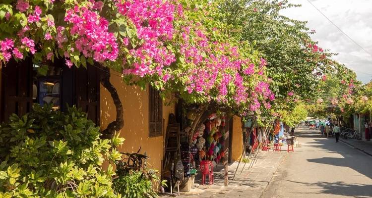 Calle con casas coloridas bordeada de flores rosadas.