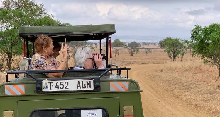 Turistas fotografiando fauna salvaje desde un vehículo de safari.