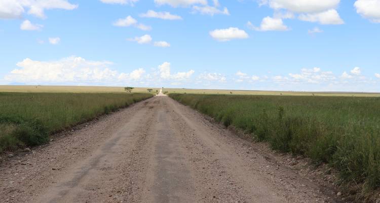 Un camino de tierra recto que se extiende hacia el horizonte a través de pastizales.