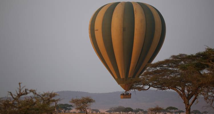 Une montgolfière volant au-dessus de la savane au coucher du soleil.