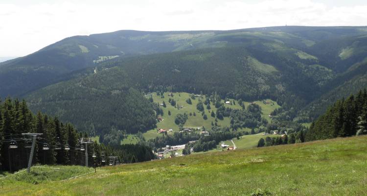 Blick auf ein grünes Tal mit Wäldern und Weiden.