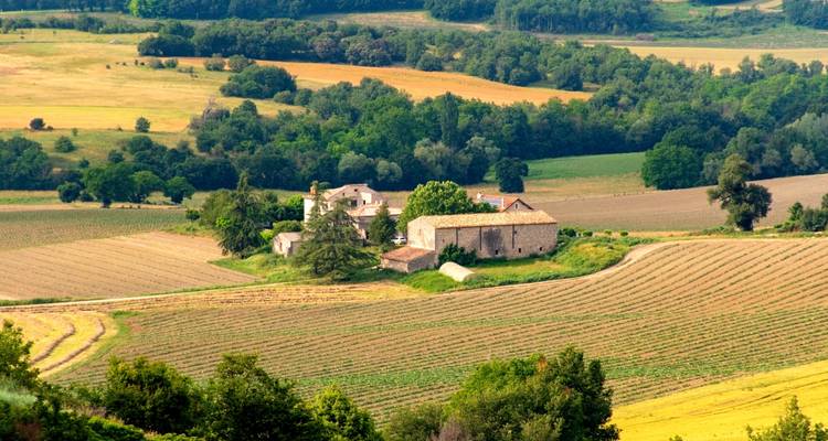 Paysage de campagne avec des champs et des bâtiments rustiques.
