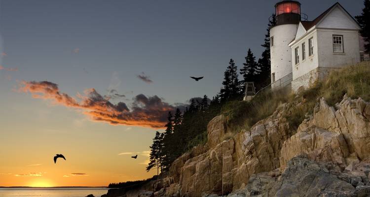 Faro en acantilados rocosos al atardecer con pájaros.