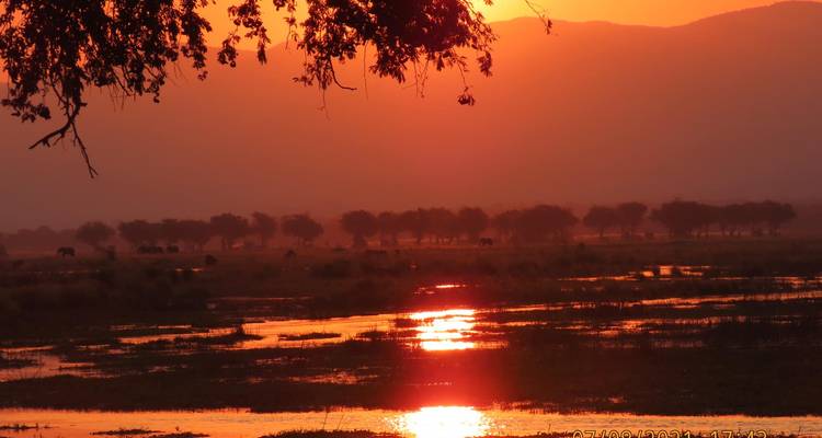 Atemberaubender Sonnenuntergang über der Savanne mit einer Spiegelung im Wasser.
