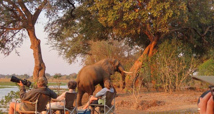 Elefant in der Nähe von Touristen, die auf Stühlen in einer Safari-Umgebung sitzen.