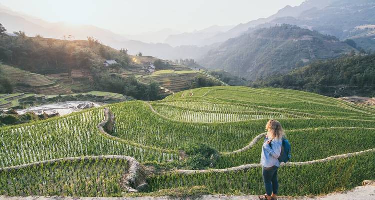 Female traveller overlooking layered green rice terraces and misty mountain valleys at dusk.