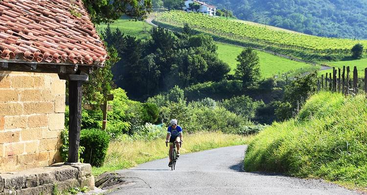 Spain: Basque Country and Rioja Wine Region - 6 Days - Sojourn Bicycling & Active Adventures