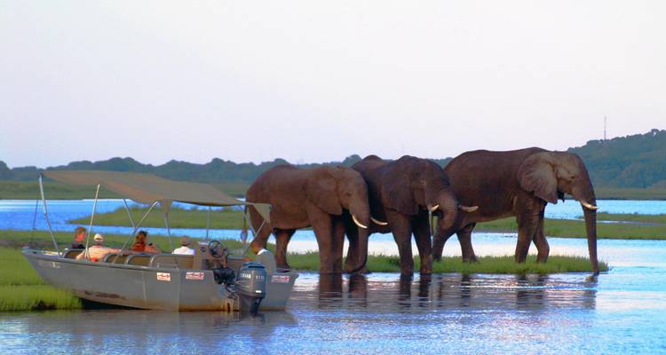 19 Days Cape to Victoria Falls Accommodated Adventure - Africa4Us