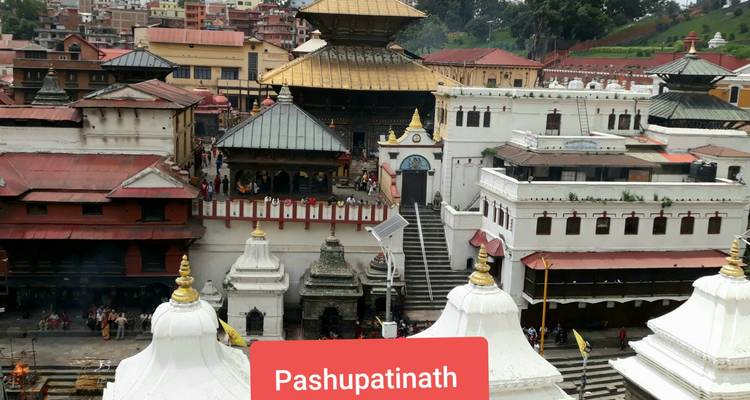 Panorámica del complejo del templo Pashupatinath with superposición de texto.