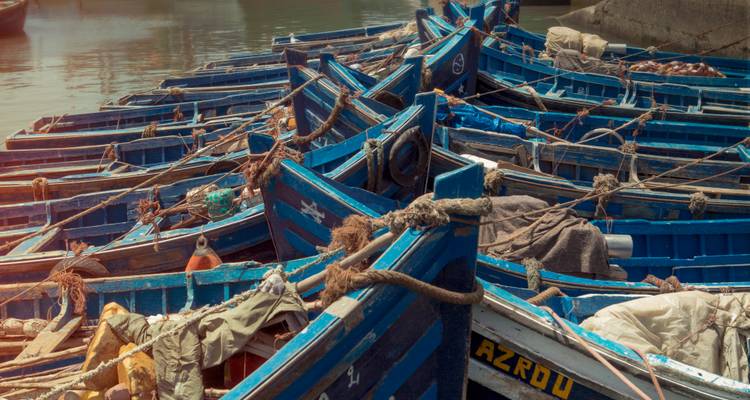 Gros plan de bateaux de pêche bleus regroupés et attachés ensemble dans un port marocain.