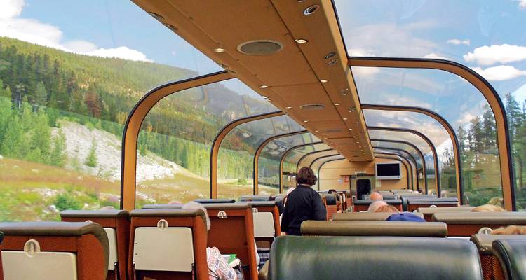 Passengers relax inside a glass-domed rail car with sweeping views of pine forests and alpine scenery.