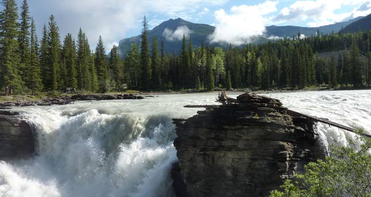 Thundering waterfall plunges between rocky cliffs framed by pine forest and mist.