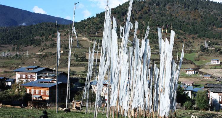 Field of tall white prayer flags fluttering in the wind against a backdrop of terraced Bhutanese valley and forested mountains.
