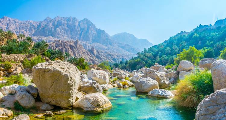 Un wadi exuberante con piscinas esmeralda fluye entre montañas rocosas espectaculares y palmeras.