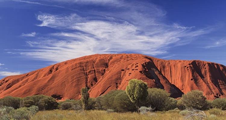 Rock N Canyon 2019-20 - Topdeck