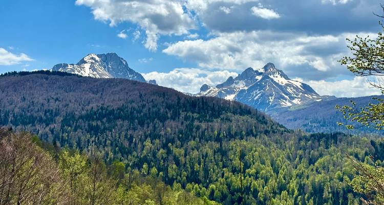 Dramatische ruige bergtoppen steken uit boven uitgestrekte gemengde bossen onder een lucht met verspreide wolken.