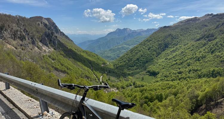 Bicycle handlebars frame a deep green mountain valley view from a roadside guardrail.