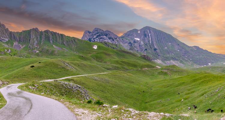 Des prairies alpines verdoyantes et ondulantes ainsi que des pics rocheux sous un ciel au coucher de soleil aux teintes pastel, avec une route étroite qui serpente à travers le paysage