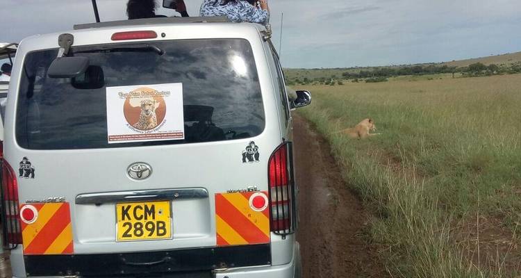 7 Days Magical of Kenya Safari Tour - East Africa Safari Bookers