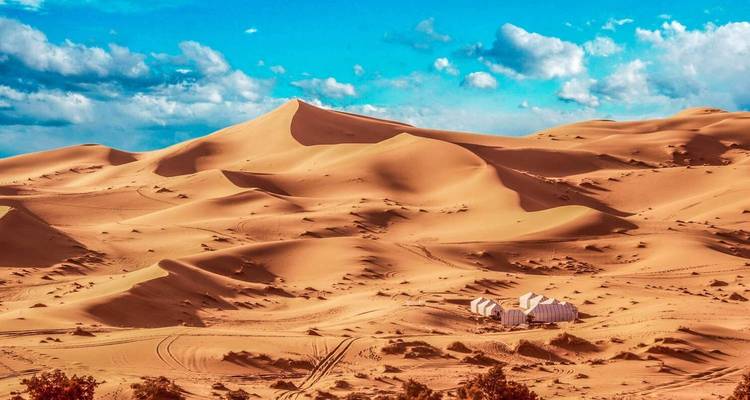 Vista panorámica de grandes dunas de arena bajo un cielo despejado.