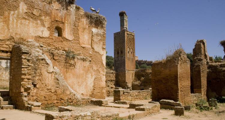 Ruinas con nidos de cigüeña y minarete bajo un cielo azul.