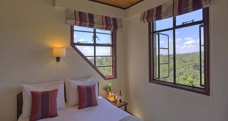 Cozy bedroom with open windows overlooking forest scenery.